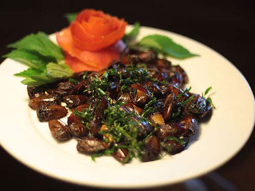 phần mềm bán hàng hà nội.phuongnam2