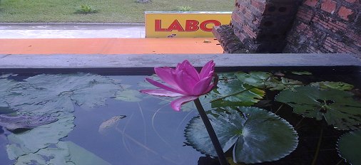 phần mềm bán hàng nhà hàng hiệu quả.labo2