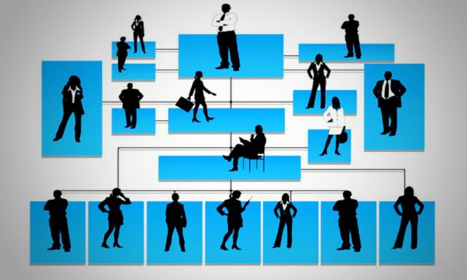 Thuyết cấu trúc tổ chức (Organizational structure theory)