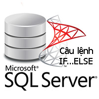 Lệnh IF...ELSE trong SQL Server - HKT SOFT